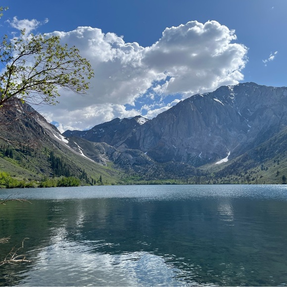 Meet your Posher, Keri - Picture 1 of 1